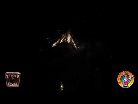 Beyond The Spider